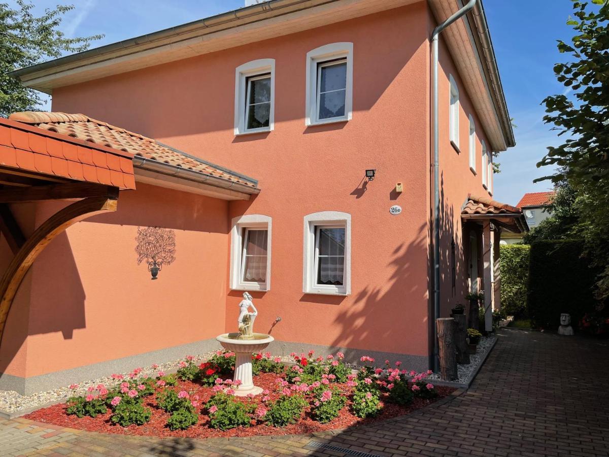 Zentrumsnahe Ferienwohnung Dresden Bagian luar foto